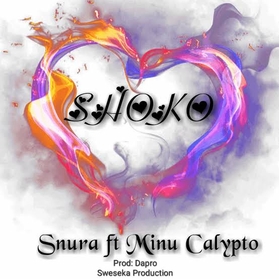 AUDIO Mp3 | Snura ft Minu Calypto - Shoko | Song Download