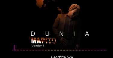 dunia mapito artwork matonya