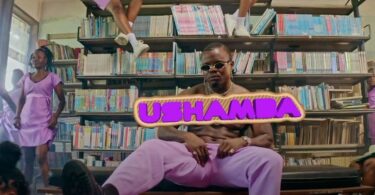 ushamba video by harmonize