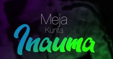 inauma audio meja