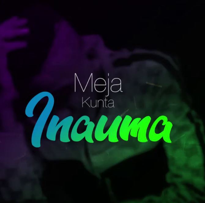 inauma audio meja