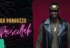 meddy ft priscillah – nka paradizo