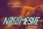 dully sykes x harmonize nikomeshe 640x640 1.jpg