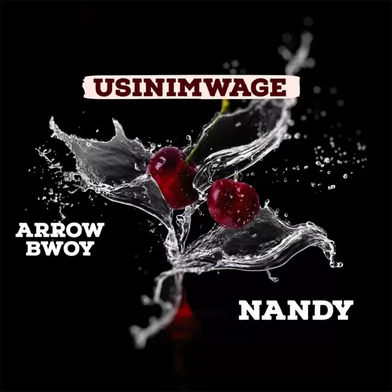 arrow bwoy nandy usinimwage